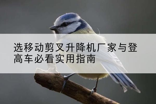 伽师电动升降机厂家-选移动剪叉升降机厂家与登高车必看实用指南