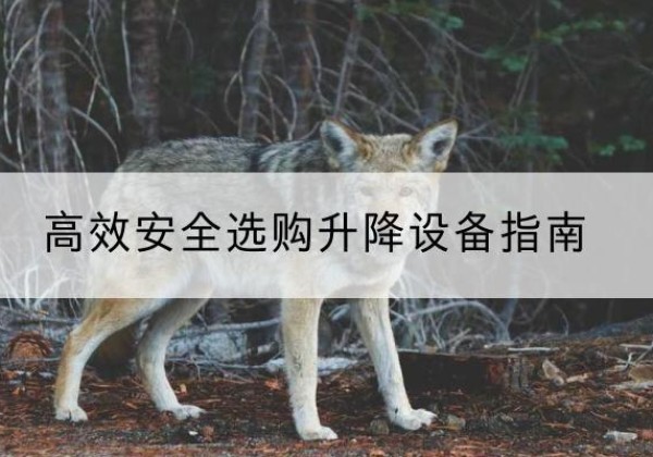 伽师升降货梯厂家推荐-*安全选购升降设备指南